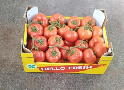 Foto Pomodoro Grappolo Origine Albania Marchio Hazizi Farm 1